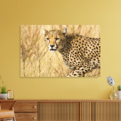 Afrika. Kenia. Cheetah bij Samburu NP. Canvas Afdruk (Insitu (Woonkamer))