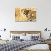 Afrika. Kenia. Cheetah bij Samburu NP. Canvas Afdruk (Insitu (Slaapkamer))