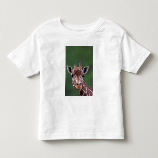 Afrika, Kenia, Impala Ranch. Netvormig Kinder Shirts (Voorkant)