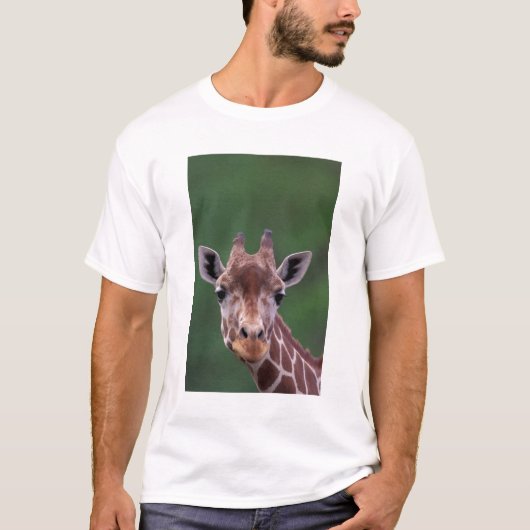 Afrika, Kenia, Impala Ranch. Netvormig T-shirt (Voorkant)