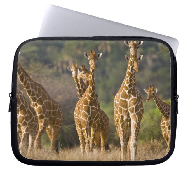 Afrika. Kenia. Koppel netgiraffen Laptop Sleeve (Voorkant)