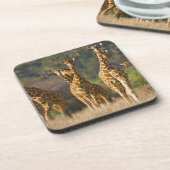 Afrika. Kenia. kudde gelede Giraffes Bier Onderzetter (Linkerzijde)