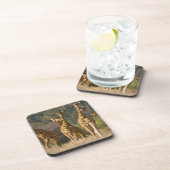 Afrika. Kenia. kudde gelede Giraffes Bier Onderzetter (Rechterzijde)