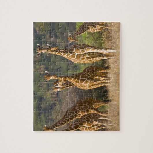 Afrika. Kenia. kudde gelede Giraffes Legpuzzel (Verticaal)