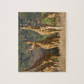 Afrika. Kenia. Kudde netgiraffen Legpuzzel (Verticaal)