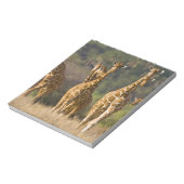 Afrika. Kenia. Kudde netgiraffen Notitieblok (Linkerzijde)