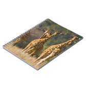 Afrika. Kenia. Kudde netgiraffen Notitieboek (Linkerzijde)