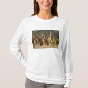Afrika. Kenia. Kudde netgiraffen T-shirt