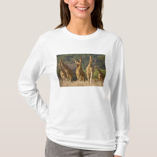 Afrika. Kenia. Kudde netgiraffen T-shirt (Voorkant)