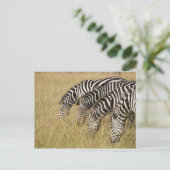 Afrika, Kenia, Maasai Mara Briefkaart (Staand voorkant)