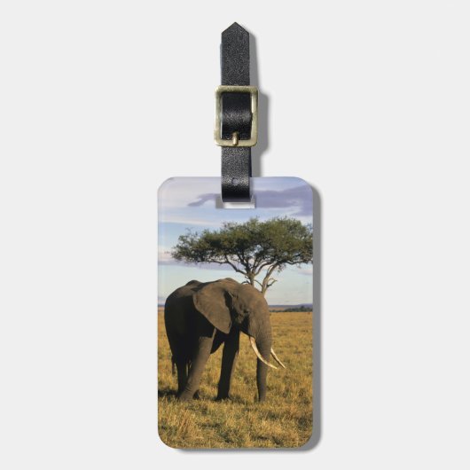 Afrika, Kenia, Maasai Mara. Een olifant in de Bagagelabel (Voorkant verticaal)