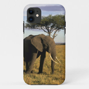 Afrika, Kenia, Maasai Mara. Een olifant in de Case-Mate iPhone Case