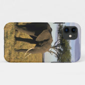 Afrika, Kenia, Maasai Mara. Een olifant in de Case-Mate iPhone Case (Achterkant (horizontaal))