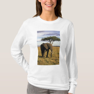 Afrika, Kenia, Maasai Mara. Een olifant in de T-shirt