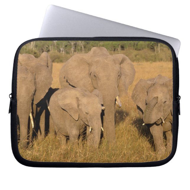 Afrika, Kenia, Masai Mara. Afrikaanse Olifant Laptop Sleeve (Voorkant)