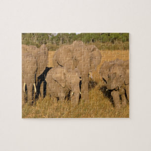 Afrika, Kenia, Masai Mara. Afrikaanse Olifant Legpuzzel