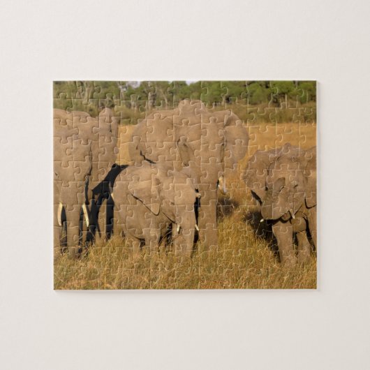 Afrika, Kenia, Masai Mara. Afrikaanse Olifant Legpuzzel (Horizontaal)