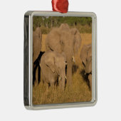Afrika, Kenia, Masai Mara. Afrikaanse olifant Metalen Ornament (Rechts)
