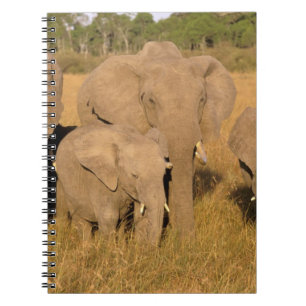 Afrika, Kenia, Masai Mara. Afrikaanse Olifant Notitieboek