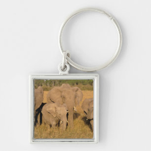 Afrika, Kenia, Masai Mara. Afrikaanse Olifant Sleutelhanger