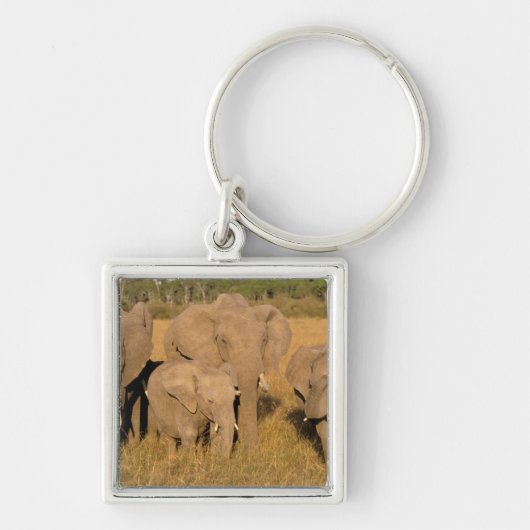 Afrika, Kenia, Masai Mara. Afrikaanse Olifant Sleutelhanger (Voorkant)