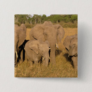 Afrika, Kenia, Masai Mara. Afrikaanse Olifant Vierkante Button 5,1 Cm