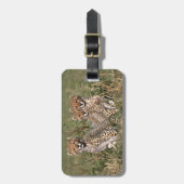 Afrika; Kenia; Masai Mara; Drie jachtluipaardwelpe Bagagelabel (Voorkant verticaal)