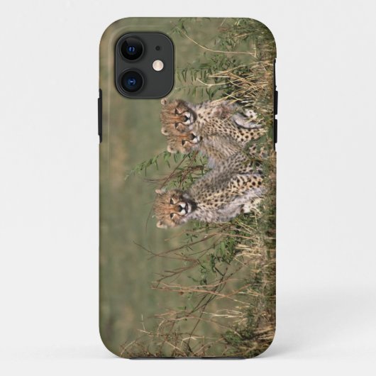 Afrika; Kenia; Masai Mara; Drie jachtluipaardwelpe Case-Mate iPhone Case (Achterkant)