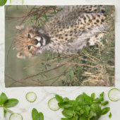 Afrika; Kenia; Masai Mara; Drie jachtluipaardwelpe Theedoek (Gevouwen)