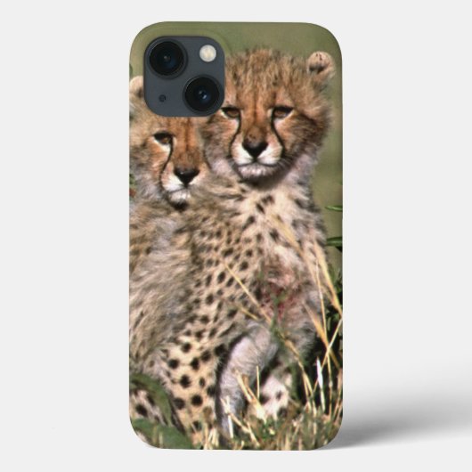 Afrika; Kenia; Masai Mara; Drie welpen van jachtlu Case-Mate iPhone Case (Achterkant)