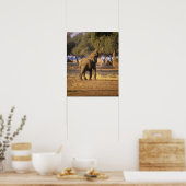 Afrika, Kenia, Masai Mara. Elephant (Loxodonta) Poster (Keuken)