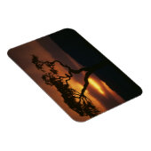 Afrika, Kenia, Masai Mara Game Reserve, Vestiging Magneet (Rechterzijde)