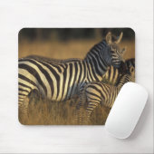 Afrika, Kenia, Masai Mara Game Reserve. Vlaktes Muismat (Met muis)