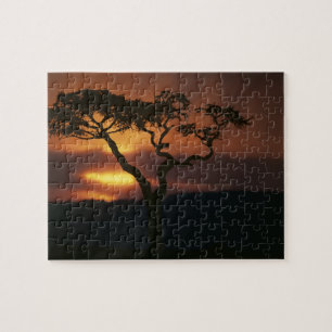 Afrika, Kenia, Masai Mara Game Reserve, Zonsonderg Legpuzzel