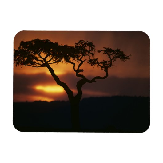 Afrika, Kenia, Masai Mara Game Reserve, Zonsonderg Magneet (Horizontaal)