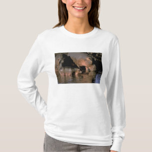 Afrika, Kenia, Masai Mara. Gewone nijlpaarden T-shirt