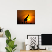 Afrika, Kenia, Masai Mara. Giraffe (Giraffa camelo Poster (Thuiskantoor)