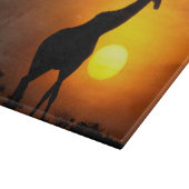 Afrika, Kenia, Masai Mara. Giraffe (Giraffa camelo Snijplank (Hoek)
