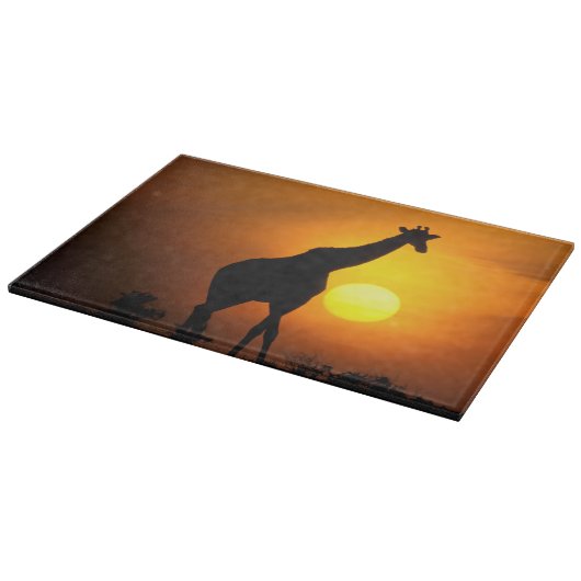 Afrika, Kenia, Masai Mara. Giraffe (Giraffa camelo Snijplank (Hoek)