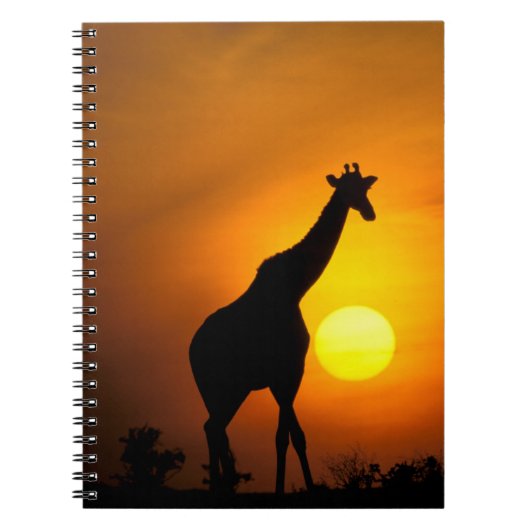 Afrika, Kenia, Masai Mara. Giraffe (Giraffa Notitieboek (Voorkant)