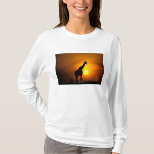Afrika, Kenia, Masai Mara. Giraffe (Giraffa T-shirt