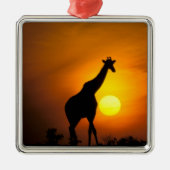 Afrika, Kenia, Masai Mara. Giraffe (Giraffe) Metalen Ornament (Voorkant)