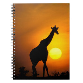 Afrika, Kenia, Masai Mara. Giraffe (Giraffe) Notitieboek