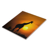 Afrika, Kenia, Masai Mara. Giraffe (Giraffe) Tegeltje (Zijkant)