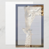 Afrika, Kenia, Masai Mara. Giraffen (Giraffa Briefpapier (Voorkant / Achterkant)