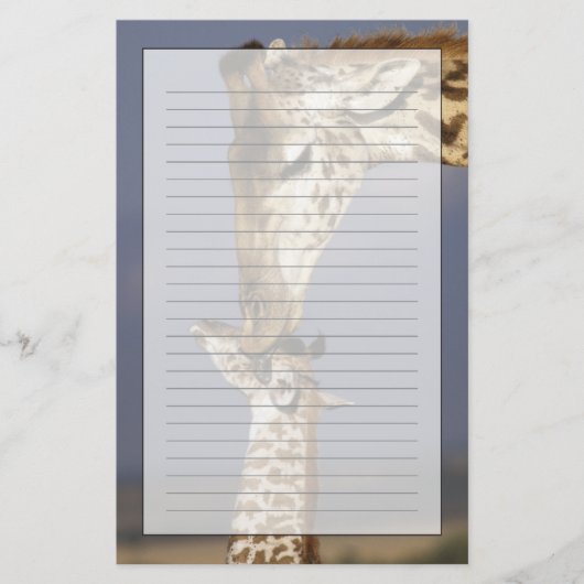 Afrika, Kenia, Masai Mara. Giraffen (Giraffa Briefpapier (Voorkant)