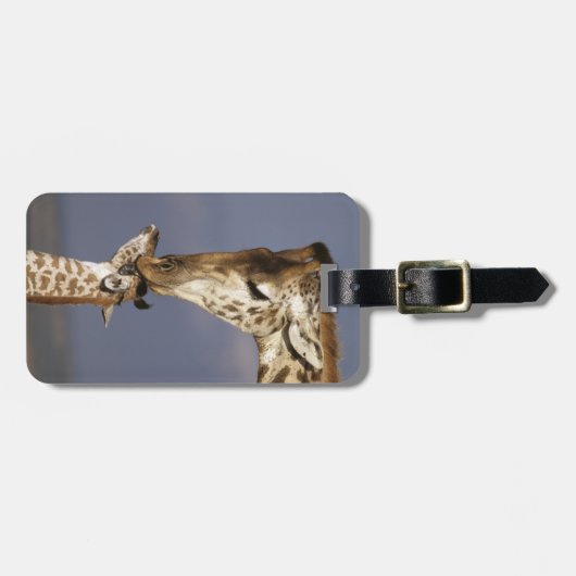 Afrika, Kenia, Masai Mara. Giraffes (Giraffe) Bagagelabel (Voorkant horizontaal)