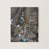 Afrika. Kenia. Masai Mara. Leopard (Panthera) Legpuzzel (Verticaal)