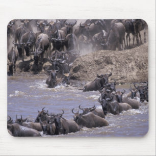 Afrika, Kenia, Masai Mara Nationaal Park. Muismat