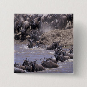 Afrika, Kenia, Masai Mara Nationaal Park. Vierkante Button 5,1 Cm